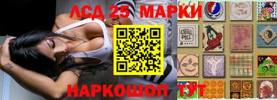 гидропоника Нальчик
