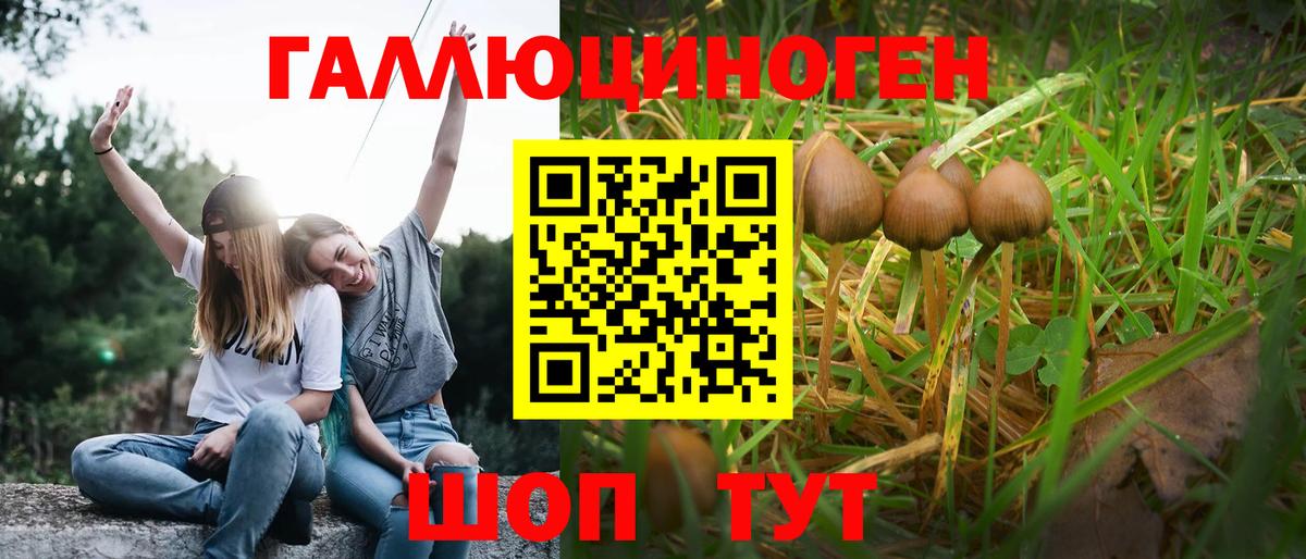 Химки  купить наркотик  Вход с VPN  Псилоцибиновые грибы Magic Shrooms 