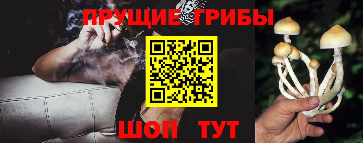 Псилоцибиновые грибы Psilocybe Химки